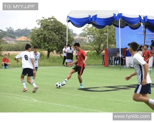 马尔蒂尼传奇时刻再现足球场上的不朽经典荣耀